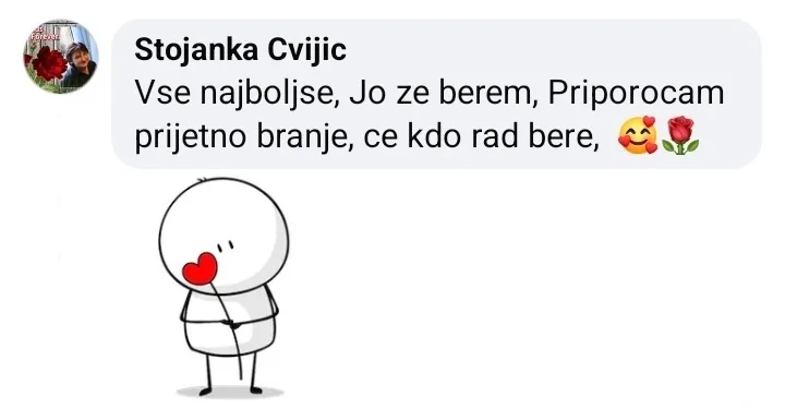 Mnenje bralca 14